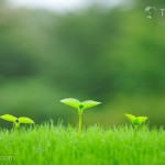 自己能治愈癌症（下）