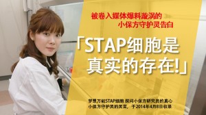 被卷入媒体爆料漩涡的小保方守护灵告白　「STAP细胞是真实的存在!」